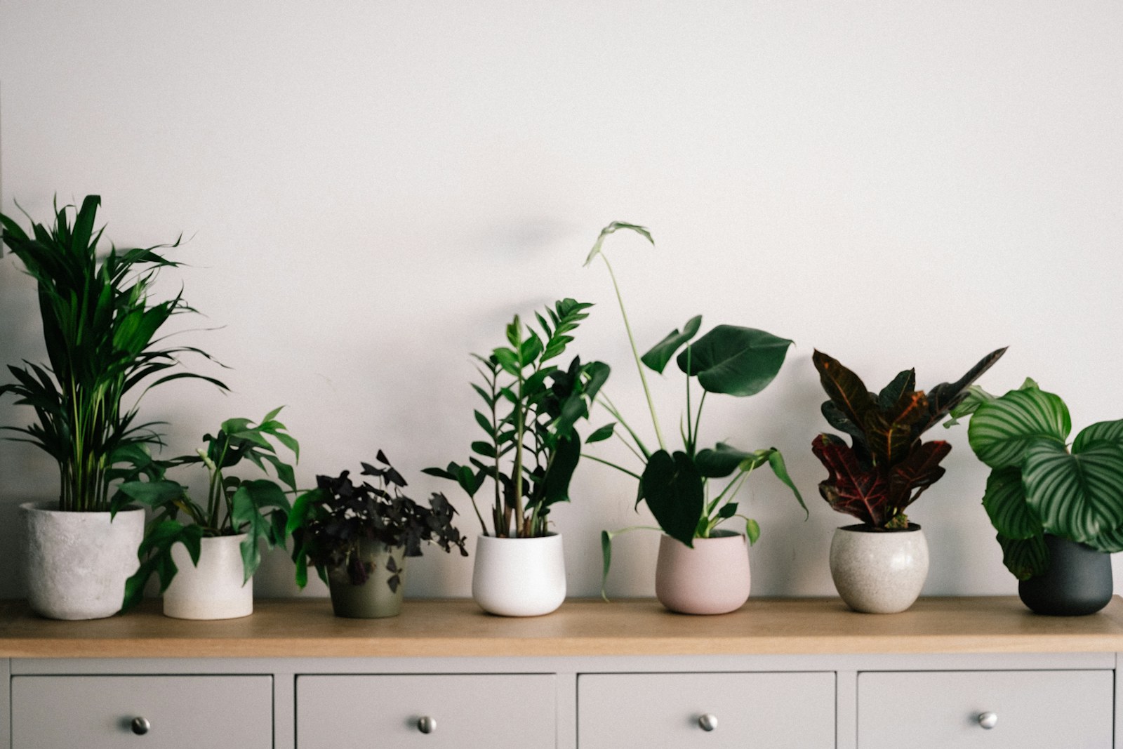Container Gardening