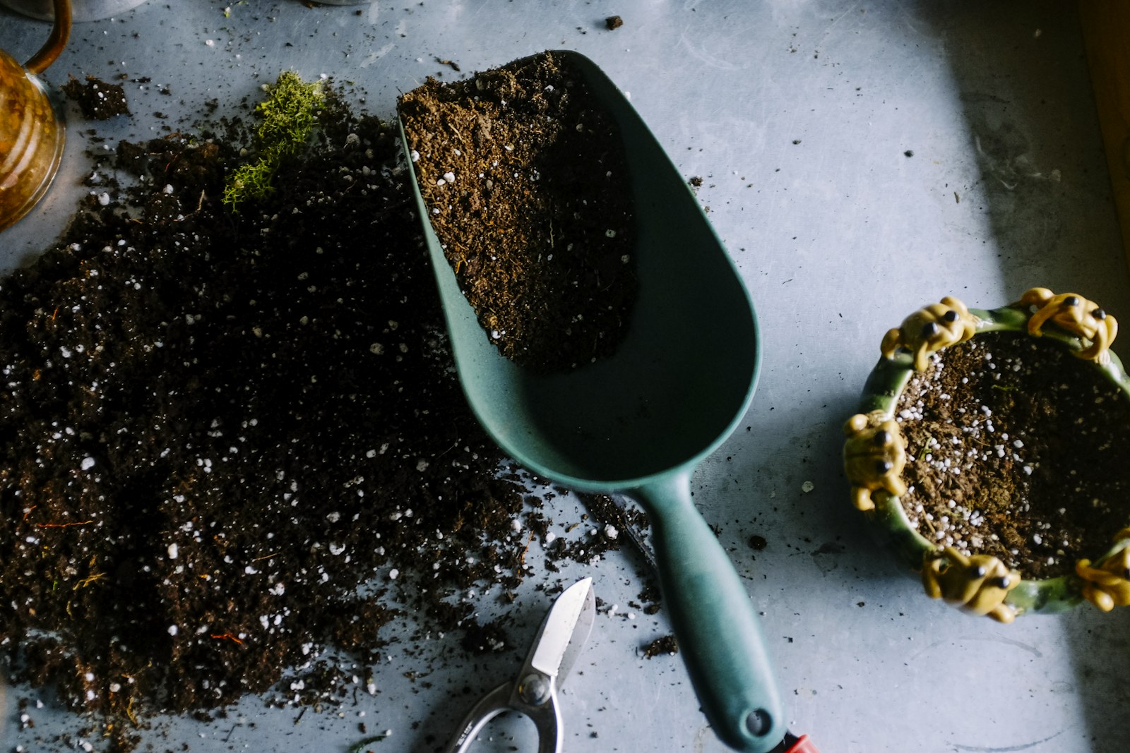 Gardening Basics