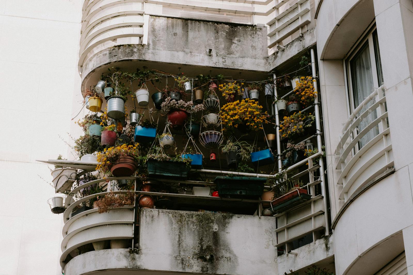 How to Start a Balcony Garden: A Step-by-Step Guide for People With Tiny, Windy Spaces