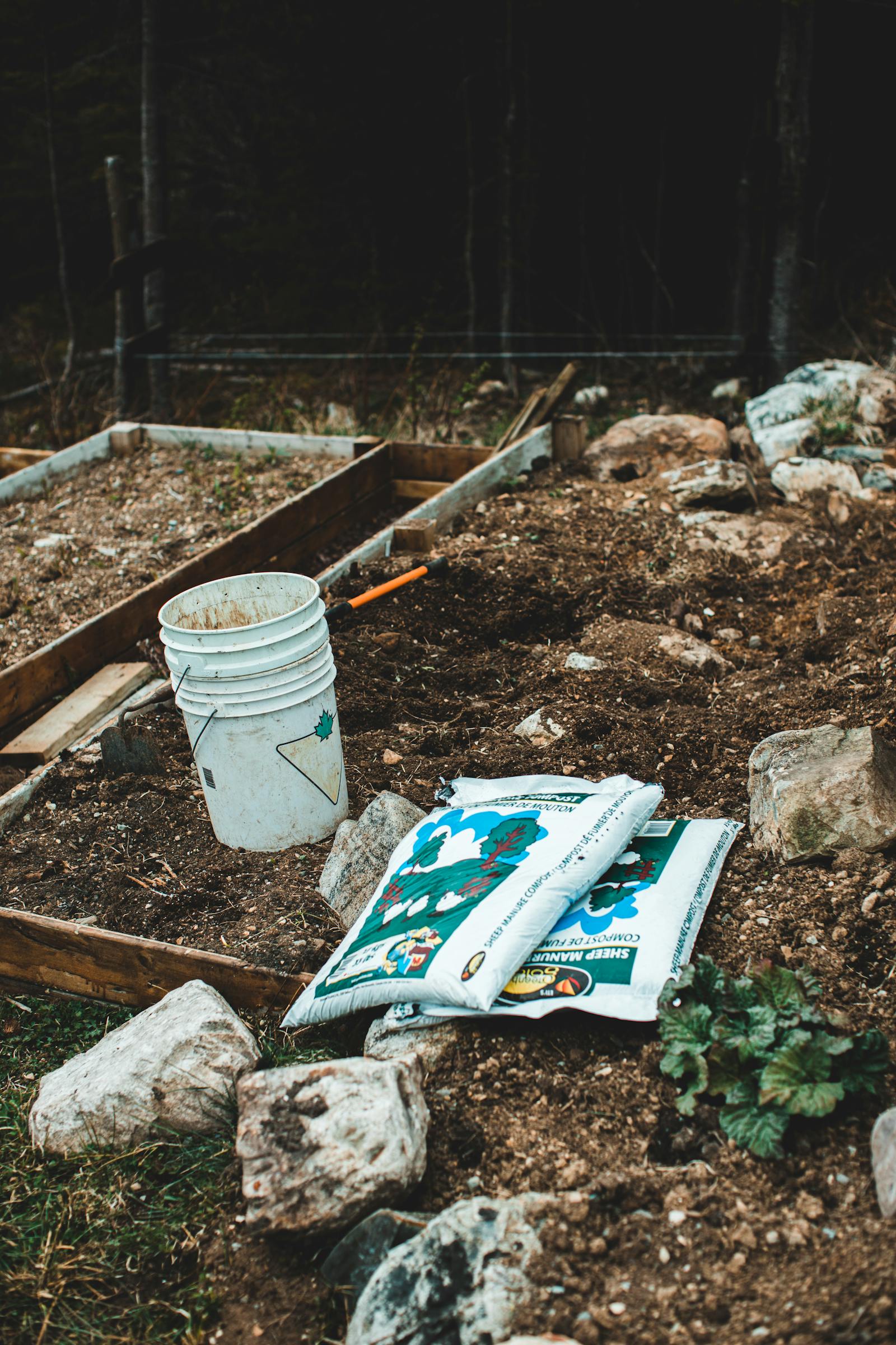 Why There Is White Mold on Your Plant Soil (And How to Fix It)