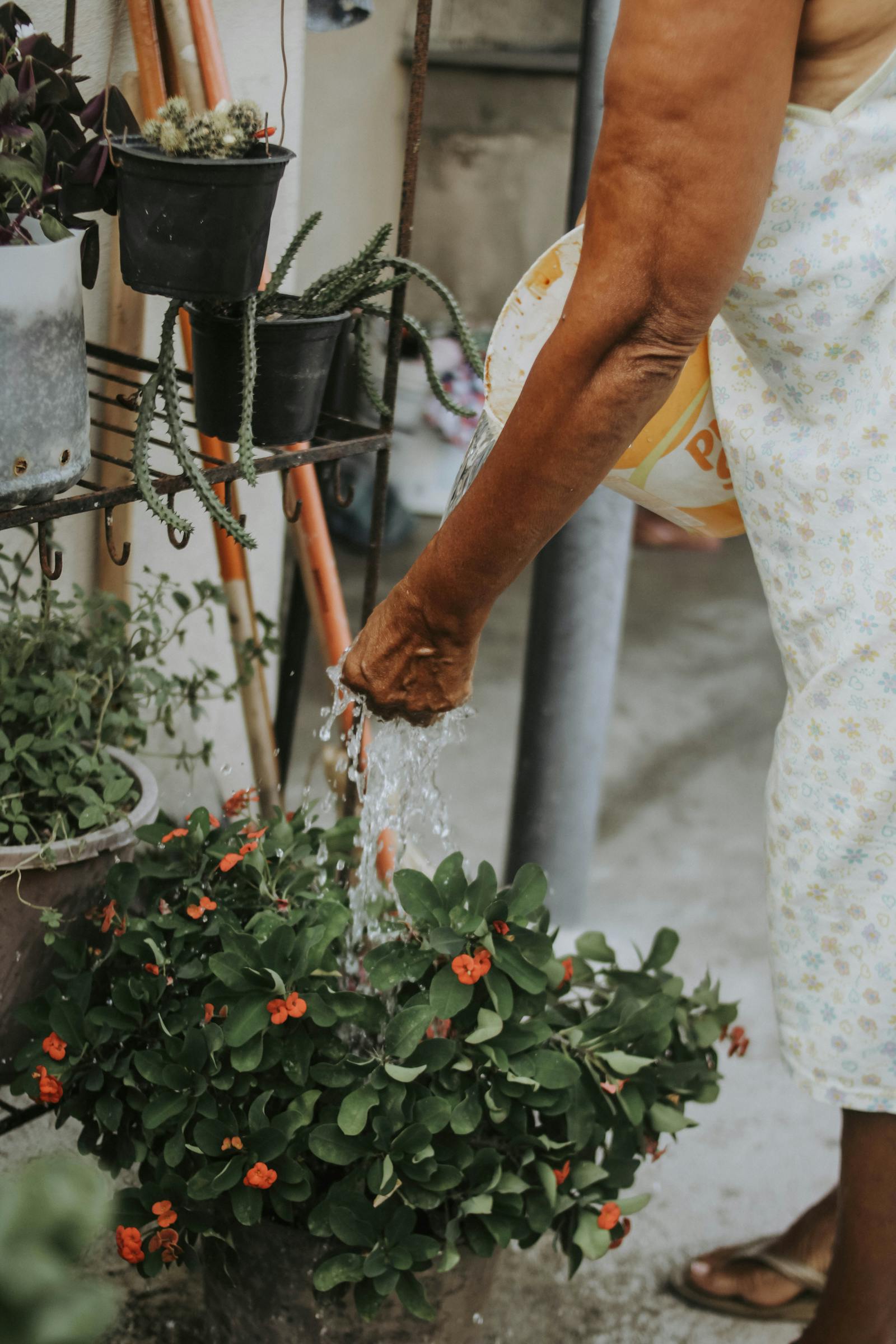 Why Your Plant Leaves Are Drooping (And How to Tell If It Is Serious)