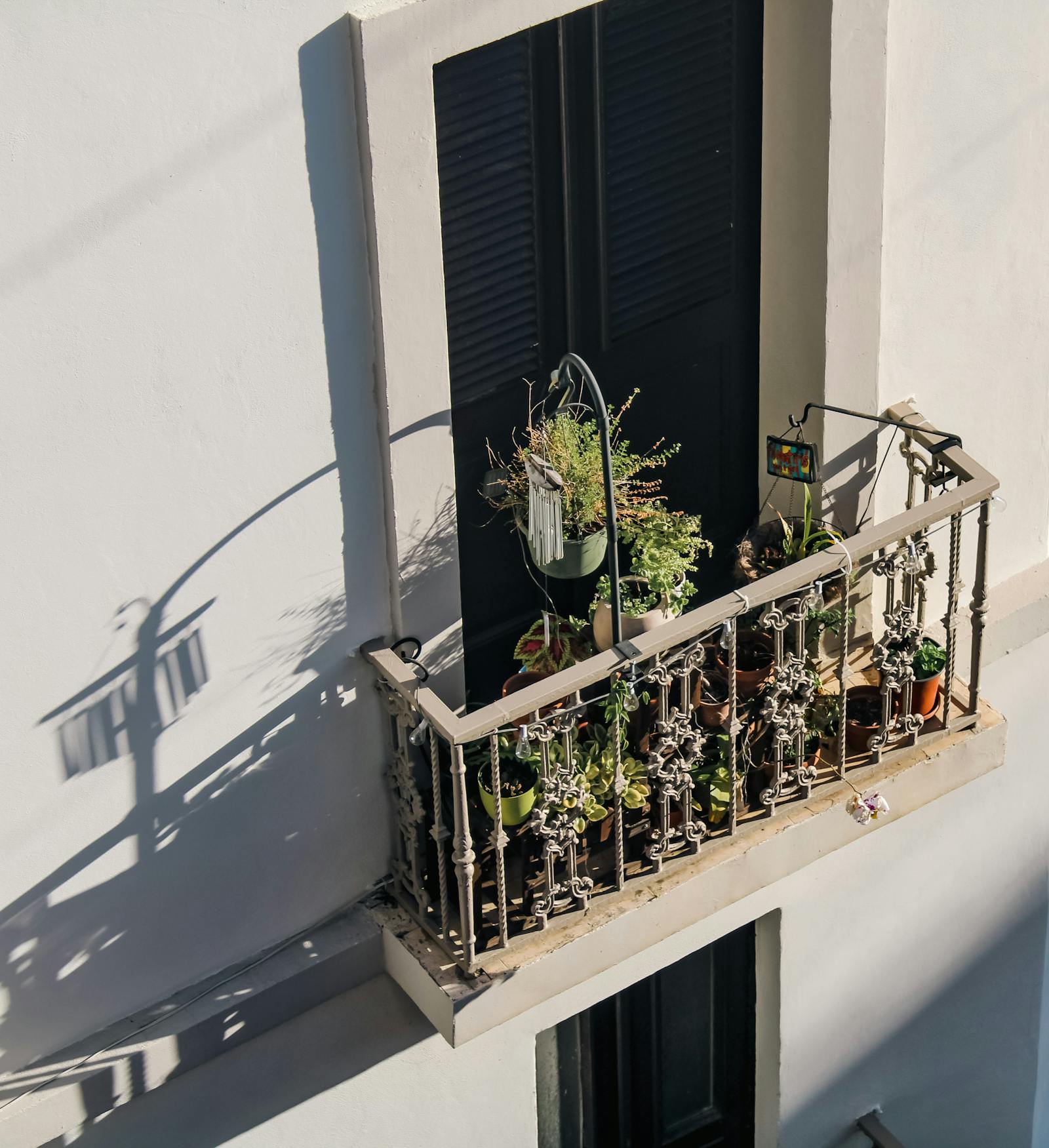 The Best Plants for a Small Balcony: A Practical Shortlist by Sun, Wind, and Space
