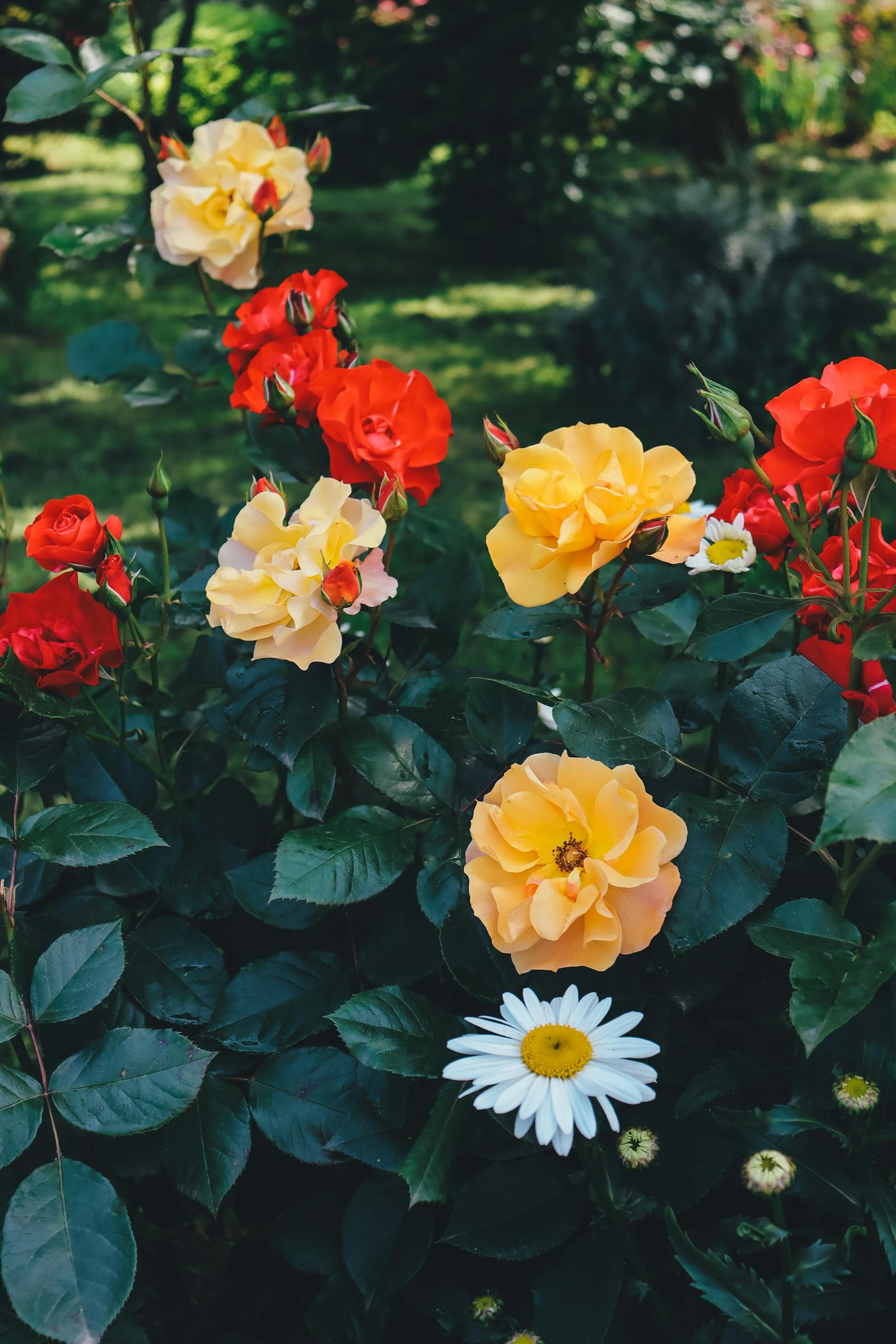 What Is a Hardiness Zone (And How to Find Yours in Two Minutes)