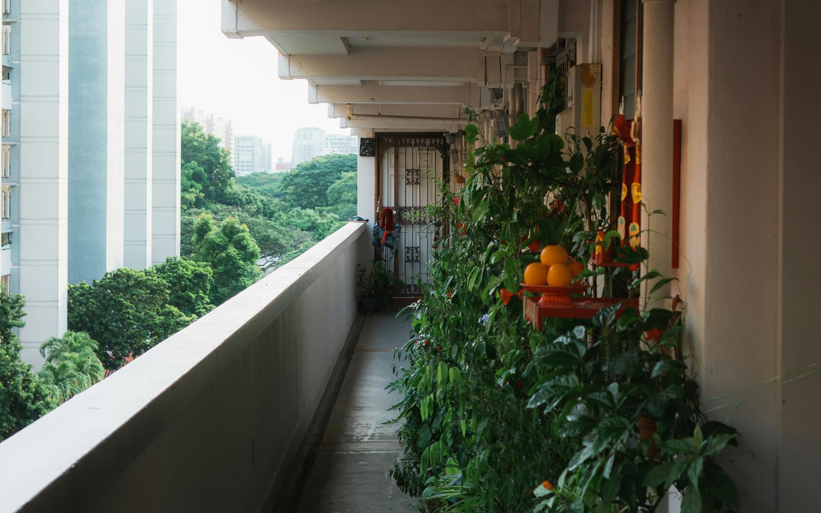 Small Balcony Garden Layout Ideas (For When You Have About 30 Square Feet)