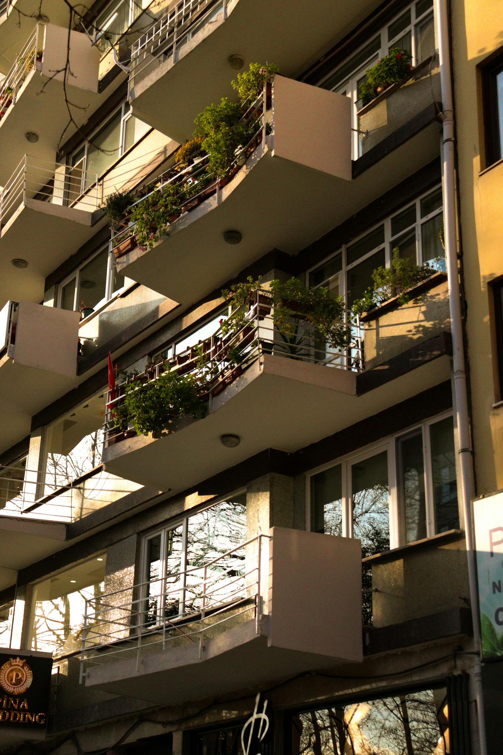 How to Figure Out Which Direction Your Balcony Faces (And Why It Decides Your Plants)