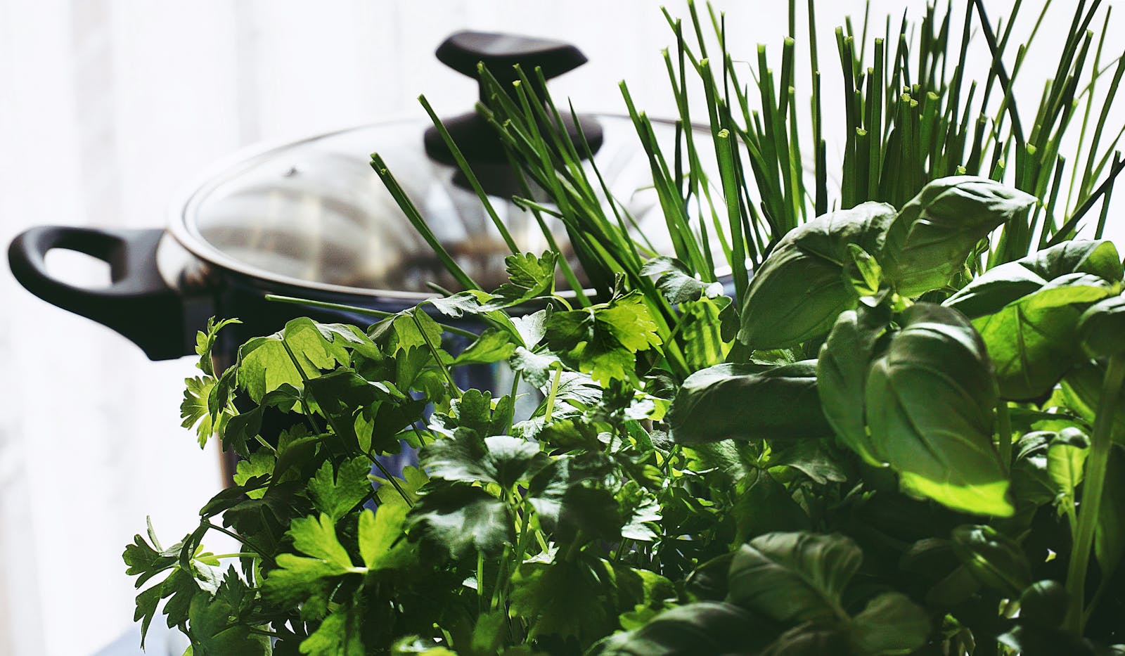 How to Grow Green Onions from Kitchen Scraps (Endless Free Supply)
