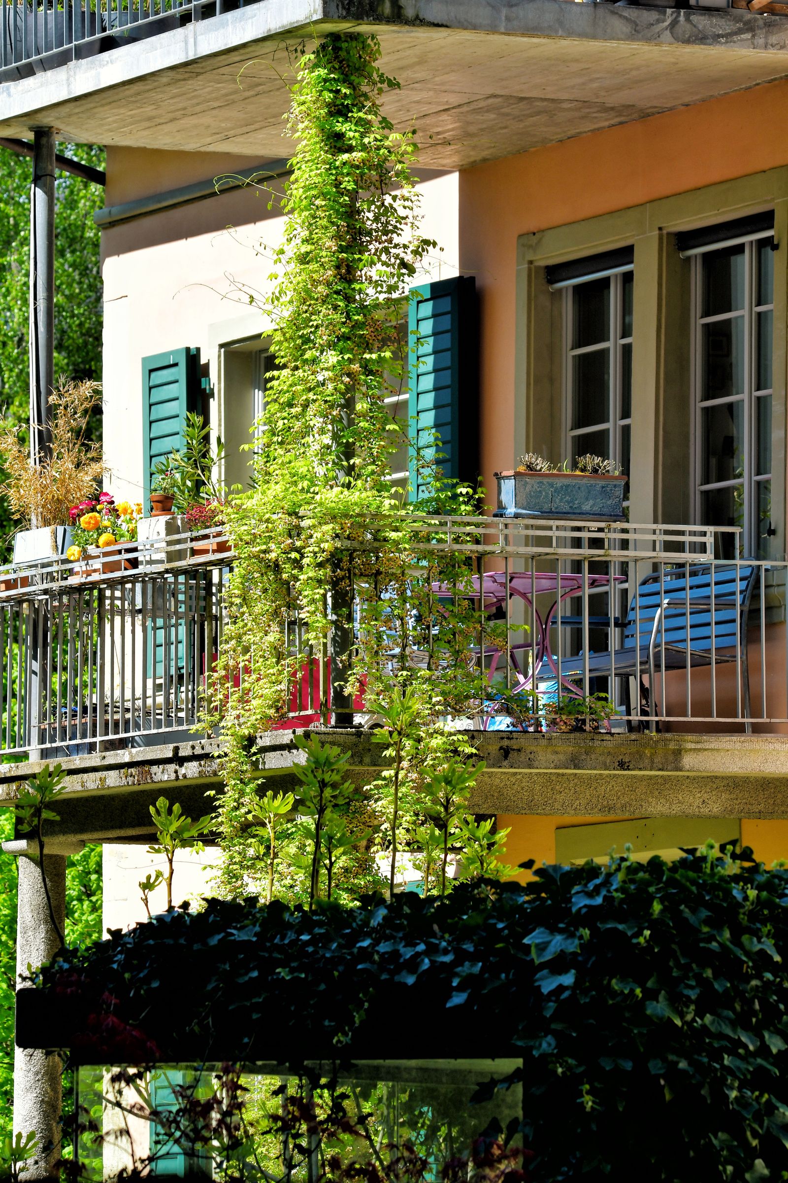 Renter-Friendly Balcony Garden: No-Drill, No-Damage Setup