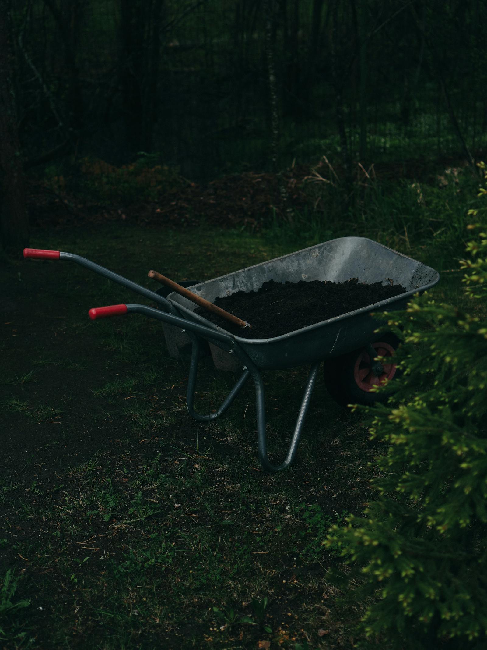 Can You Reuse Potting Soil? Yes – Here Is How to Do It Safely