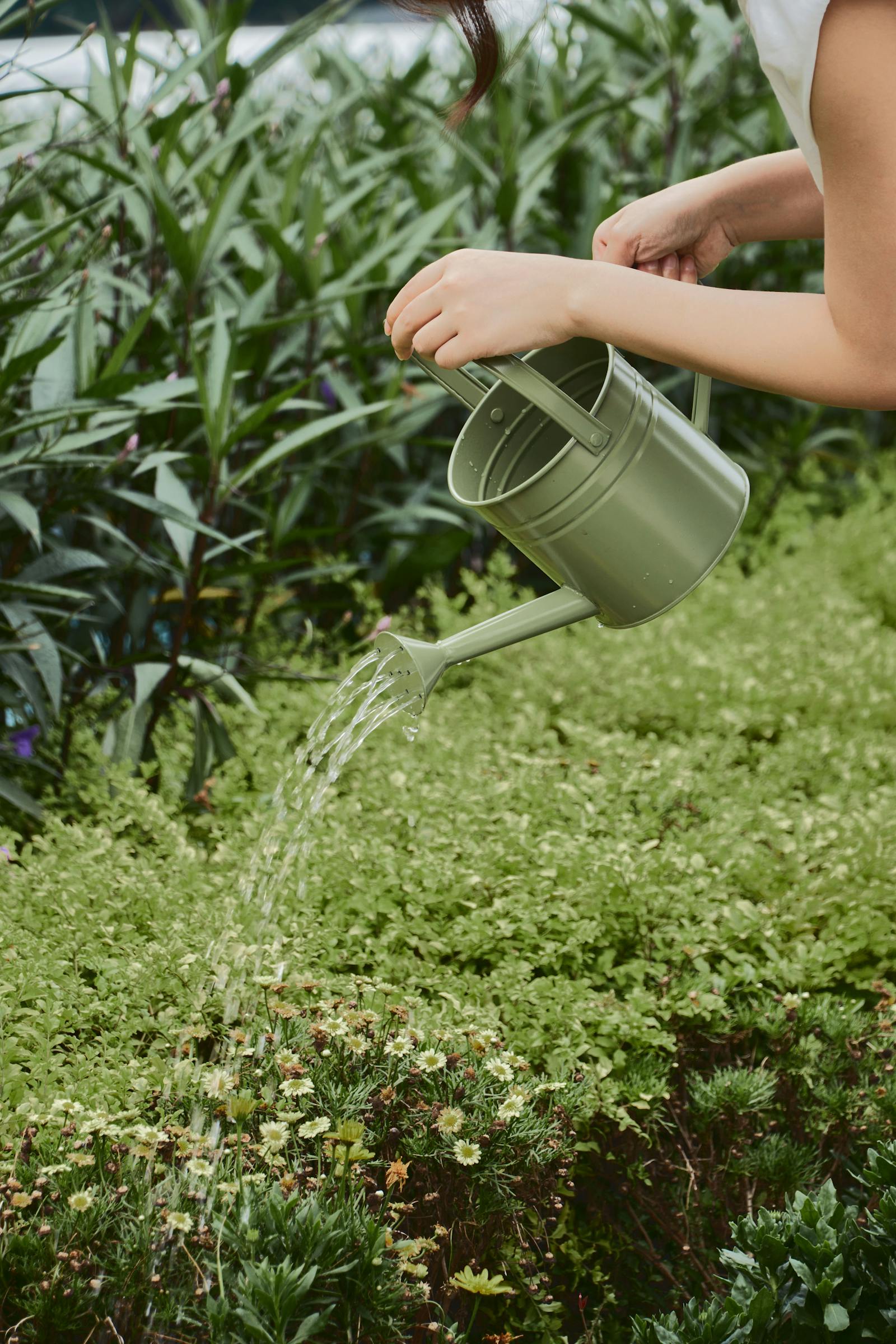 How to Water Balcony Plants in Summer Heat (Without Killing Them or Yourself)