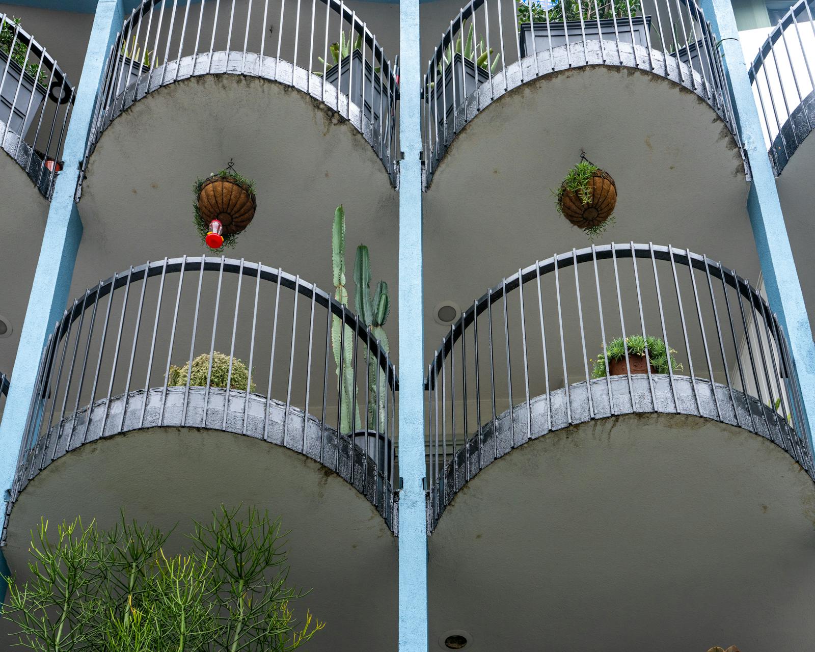 The Best Plants for a Shady Balcony: A North-Facing Garden Done Right