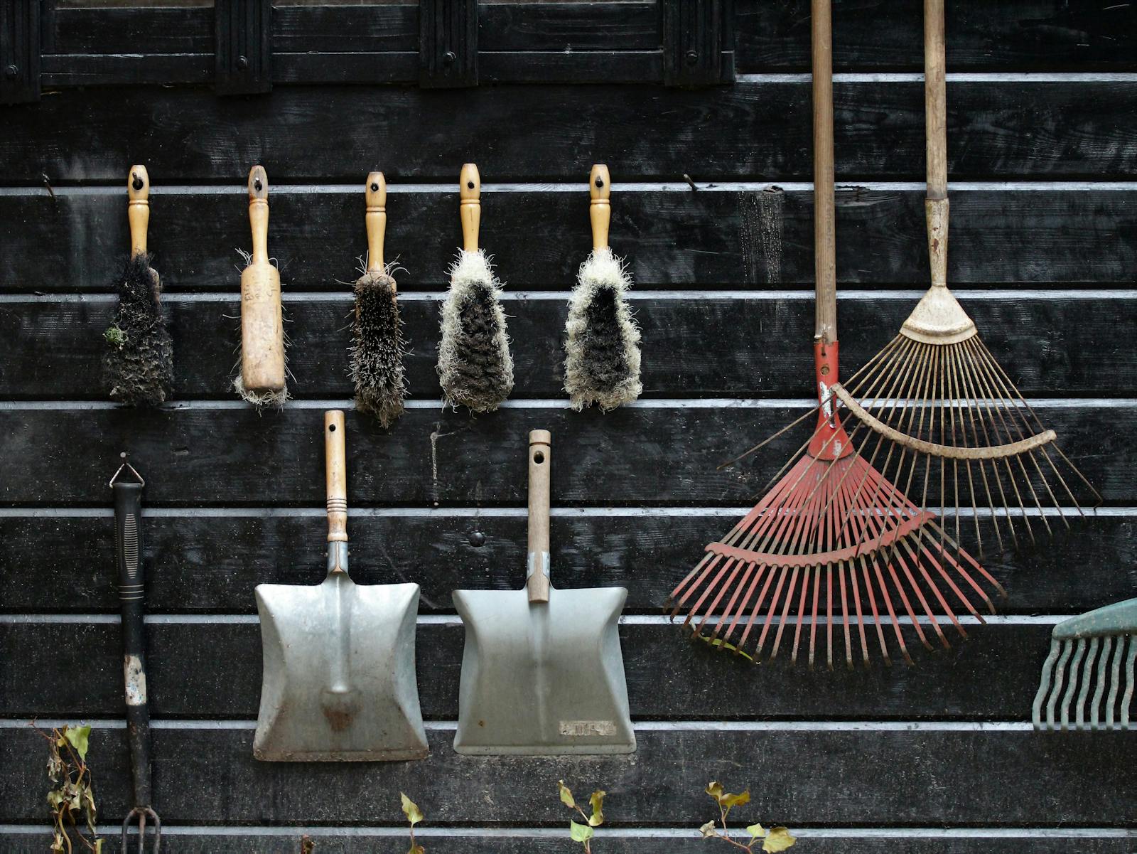 The 6 Gardening Tools a Beginner Actually Needs (and the 10 You Can Skip)