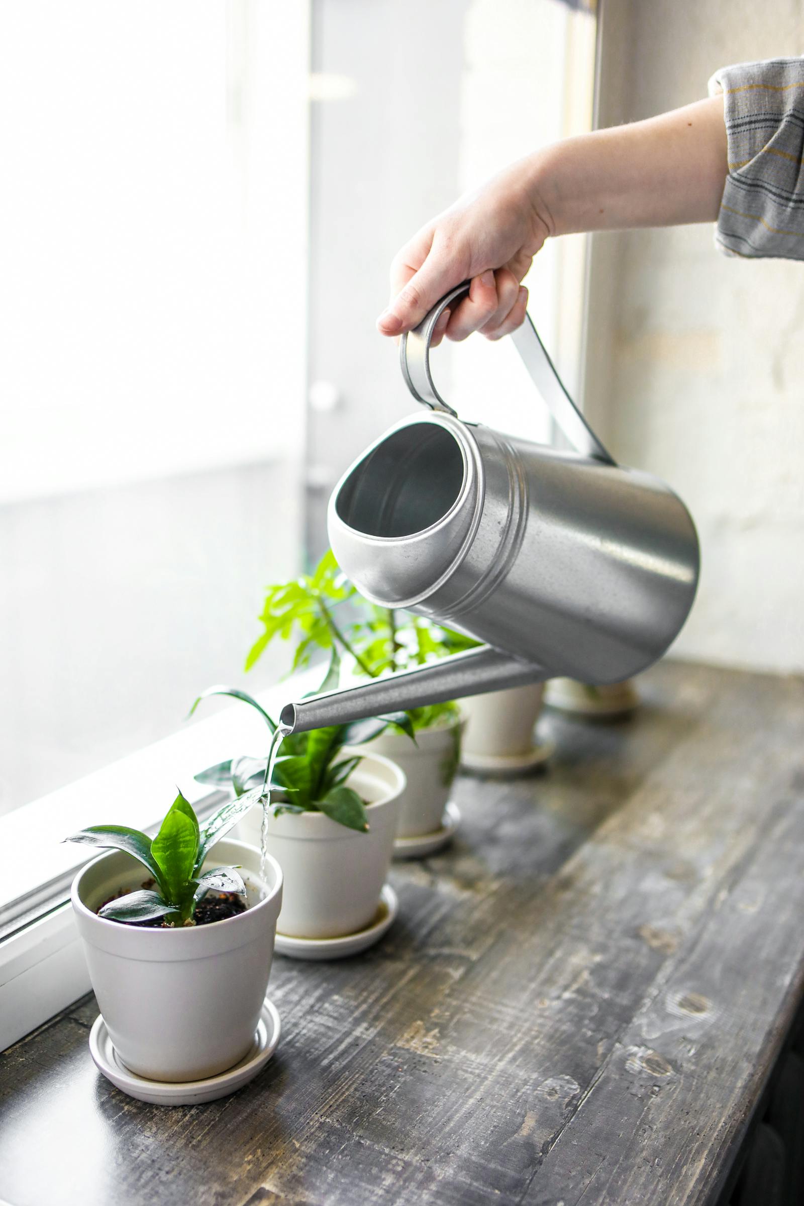 How to Build a Simple Watering Schedule (That Actually Works)