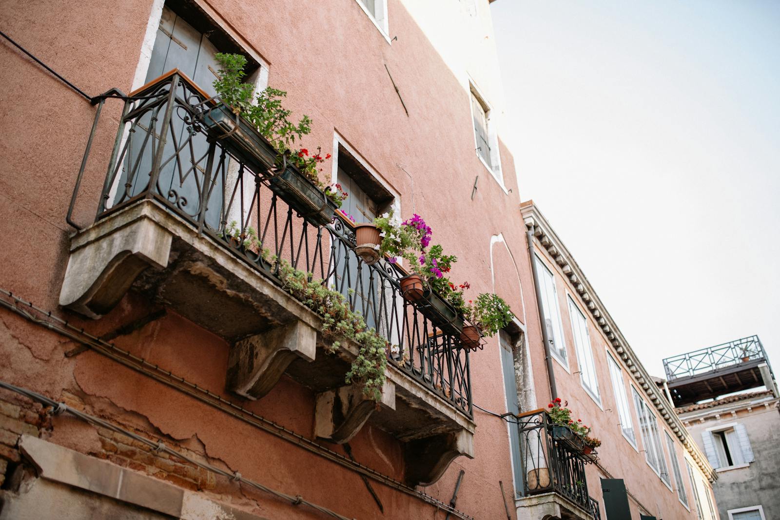 How to Garden on a Windy Balcony (Without Losing Half Your Plants to the First Storm)