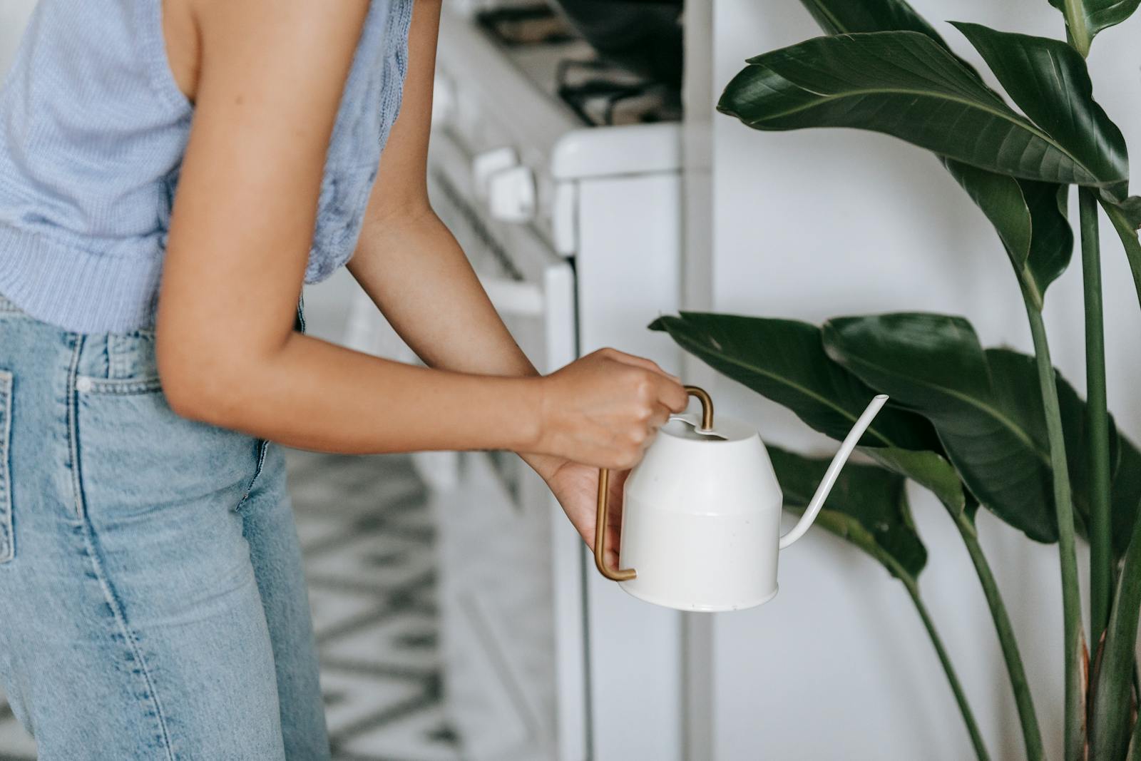 How to Fertilize Container Plants (The Simple Beginner Version)