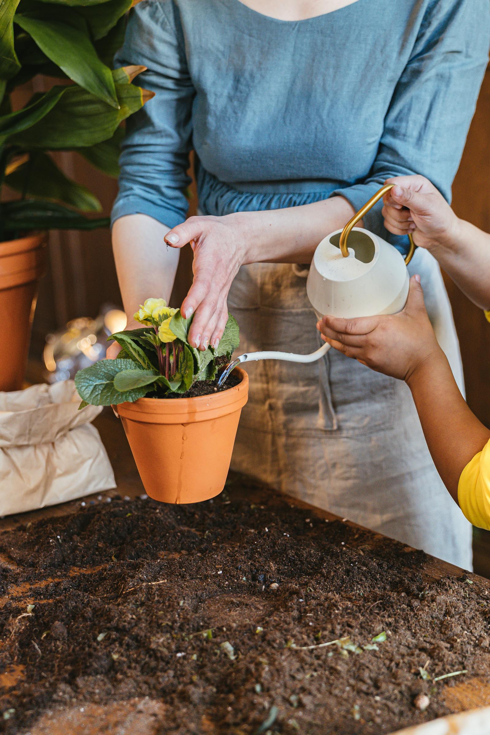 How Self-Watering Pots Actually Work (And When They Are Worth It)