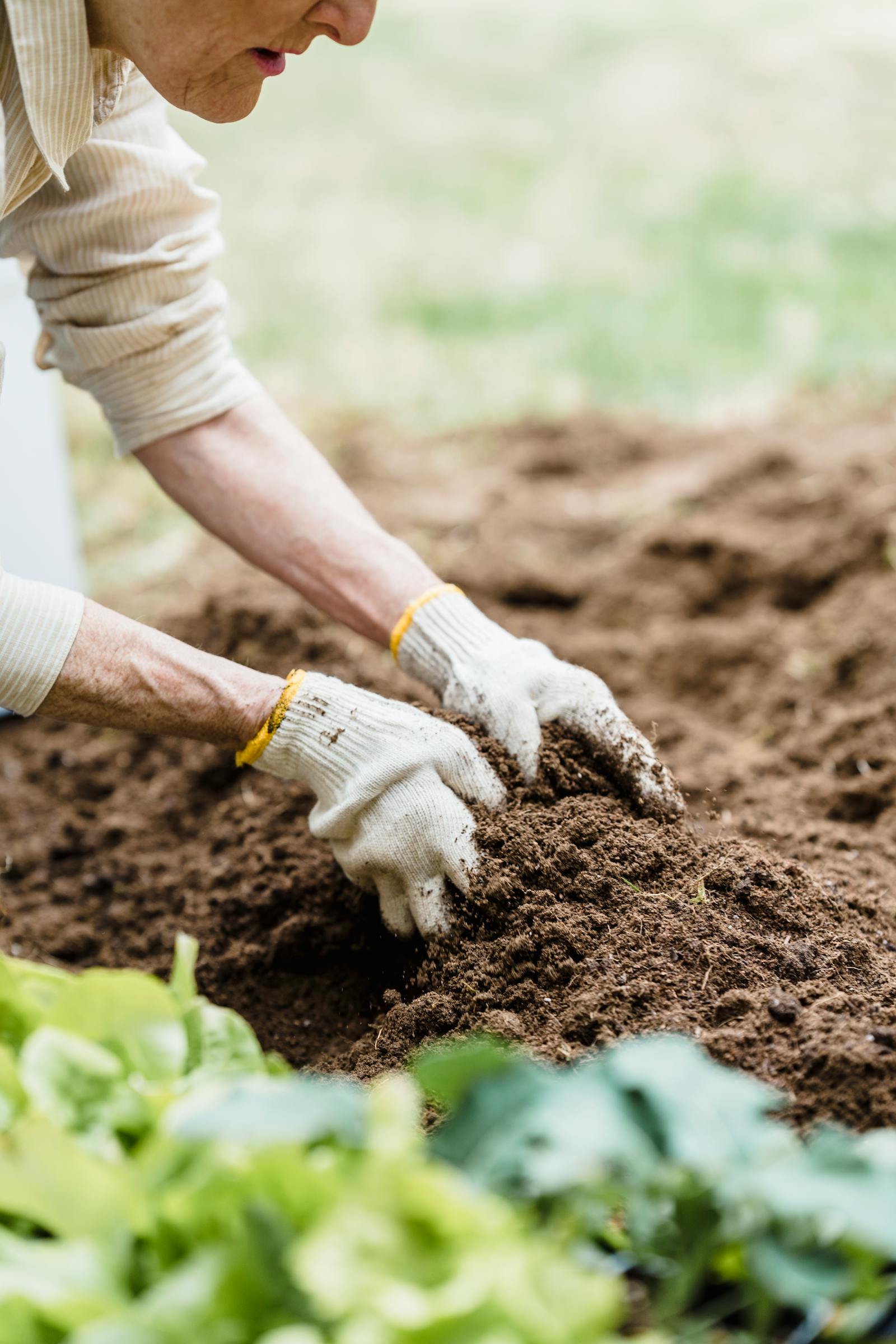 Are You Over-Fertilizing? 8 Warning Signs and How to Fix It