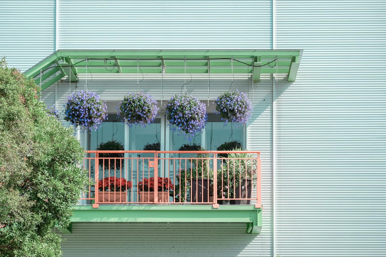The Best Flowers for a Balcony Garden (Season-Long Colour, Low Drama)