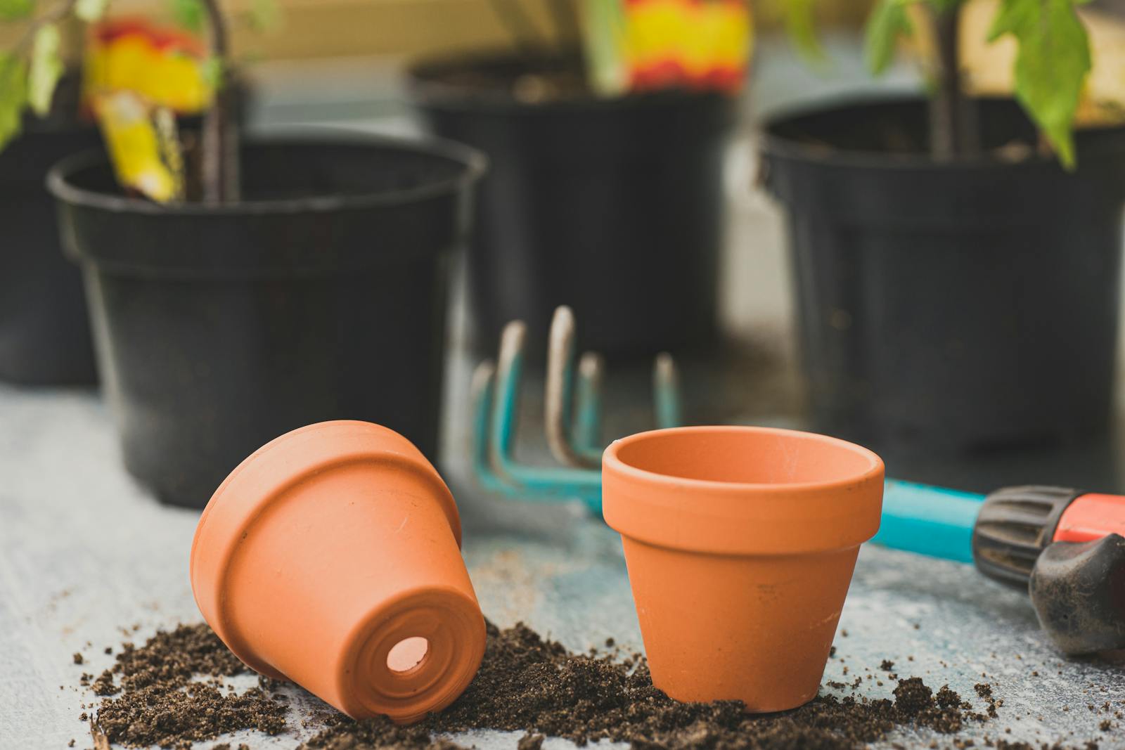 What to Put in the Bottom of a Planter (And What Not To)