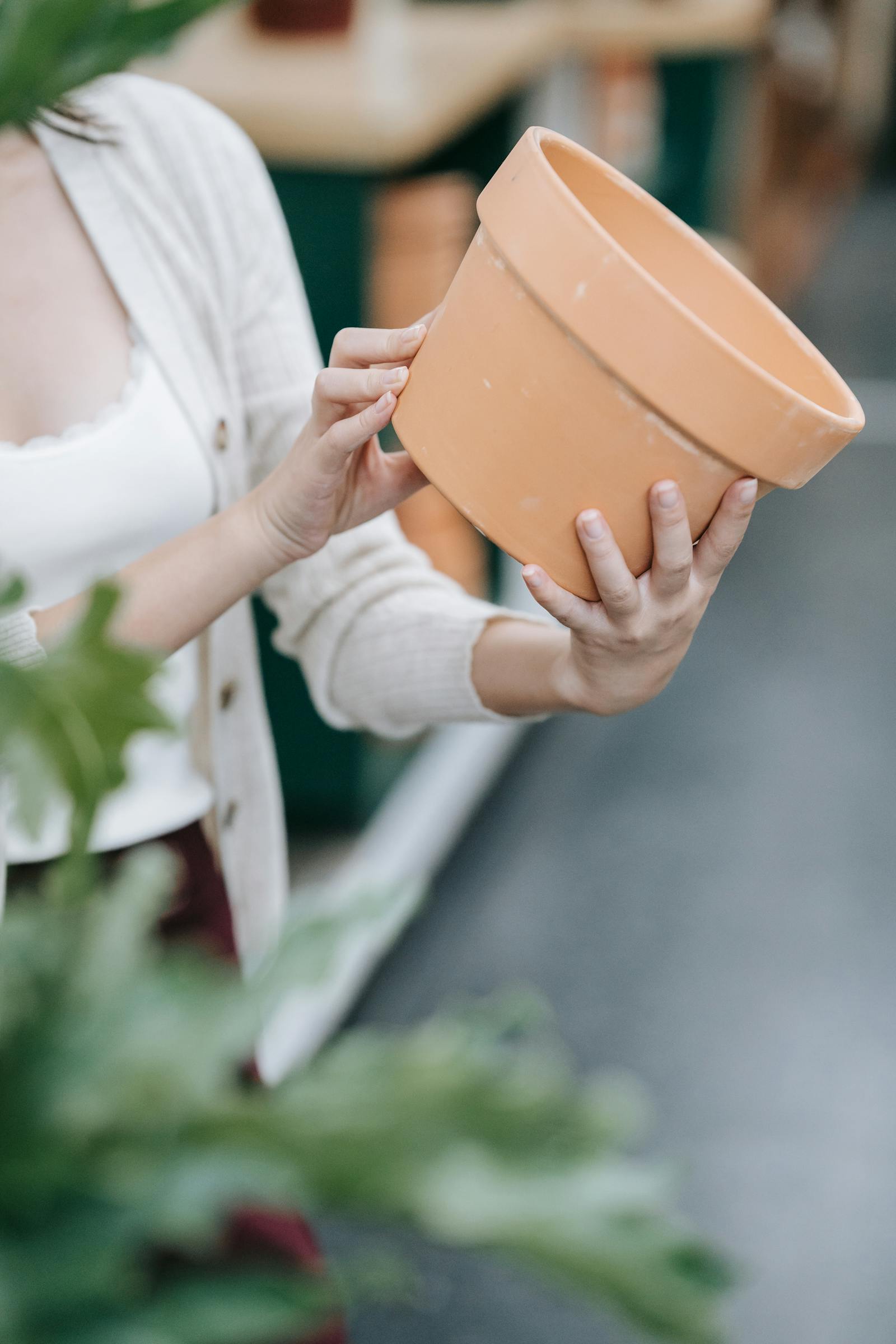 How to Clean and Sterilize Plant Pots (For Reuse Next Season)