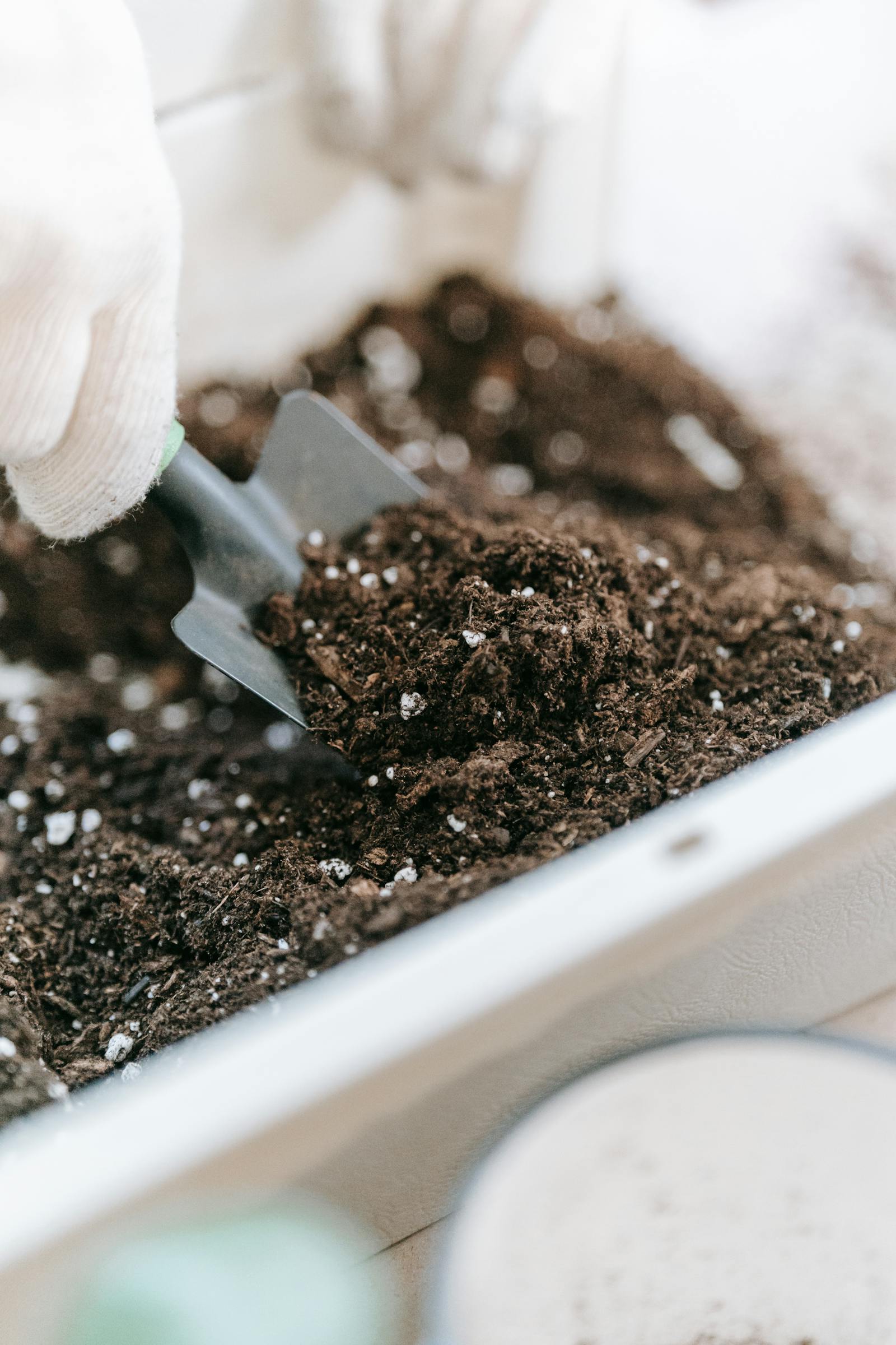 How to Choose the Right Potting Mix (Without Standing in the Garden Aisle for an Hour)
