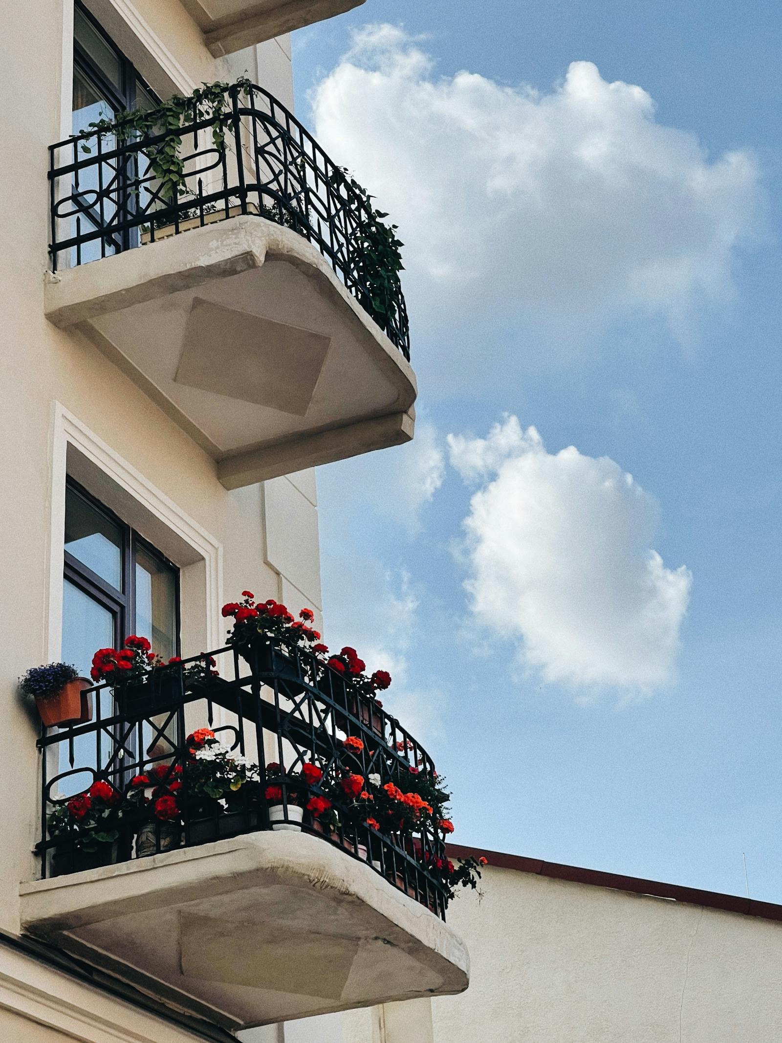 How to Overwinter Balcony Plants: A Realistic Guide for Cold Climates